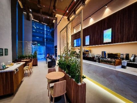Starbucks interior with a timber-clad counter, planters and double-height glazing